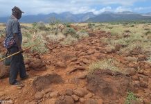 यूनेस्को पुरस्कार केन्या के बुजुर्गों के आदिवासी ज्ञान और संरक्षण को सम्मानित करता है