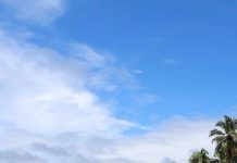 “Great Nicobar Island Project is ecocide”