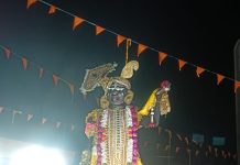 नलखेड़ा में माँ बगलामुखी प्राकट्य उत्सव धूमधाम से मनाया गया