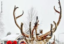 Sami oppose proposed mine in Sweden