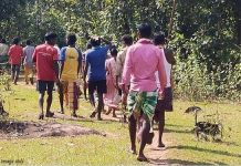 “Government must shift to rights-based model for tribal development”