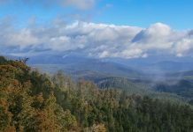 Indigenous and environmental groups seek UNESCO action on Tasmania landscape